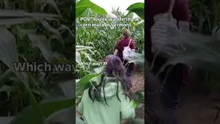 Visit a Corn Maze in Vermont
