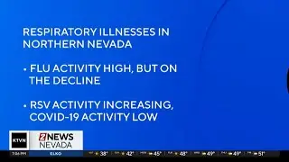 Northern Nevada flu activity is high, but hospitalizations are decreasing