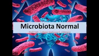 Microbiota Normal