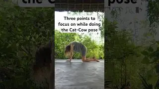 Cat-Cow Yoga Pose Tips #health #wellness #yoga #pranayama #fitness #gym #shorts #travel #flow #life