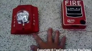 How To Wire A Fire Alarm To A Pull Station