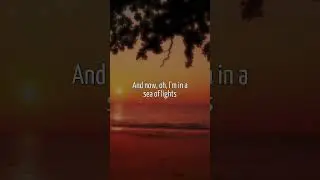 David Guetta, OneRepublic - I Don't Wanna Wait (lyrics)