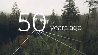 Think Wood - Sustainability