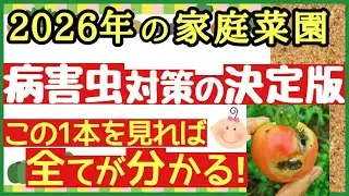 【2026年 家庭菜園の病害虫対策 決定版！】この動画を見れば全てが分かる♪初心者でも簡単に野菜作りの収穫量が増える完全マニュアル
