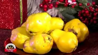 Galbenă Gutuie-