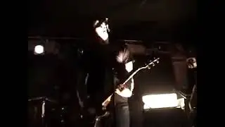 Year of the Rabbit - Absent Stars - Live