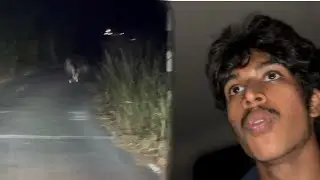 Ajeeb Bird Rasta Rok Rahi Thi 🐦😨 | Unexpected Moment | Full Vlog