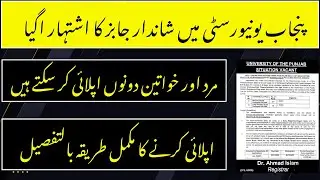 University of the Punjab Jobs 2025 | Security Guard Jobs in Punjab University | Apply Online Now