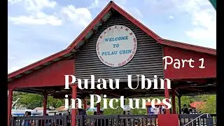 Pulau Ubin in Pictures Part 1 -  August 2020