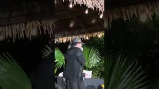 Waiian Lose My Number Barrels & Brews Koolpals