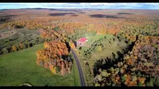 Fly In to Black River Lodge