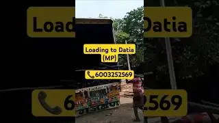 Loading To Datia MP || All India Transport Available Here || Assam Best Bamboo Supplier