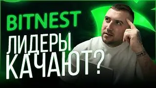 Если вы в BITNEST &mdash; это нужно знать до 16 марта
