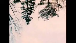 Tall Grass - Black Point