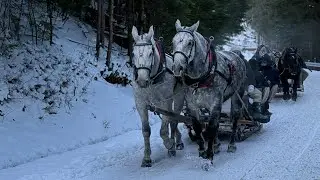 Winter in Zakopane. Hiking the Tatras mountains | New Year Adventure in Poland.