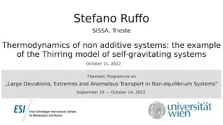 Stefano Ruffo - Thermodynamics of non additive systems: the example of the Thirring model...