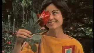 Passe-Partout - Épisode 122 - C'est Le Temps Des Fraises (1979)