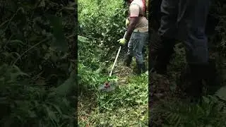 Perfect Lawn Finish Using Grass Cutter | Step-by-Step Guide 🌱✨