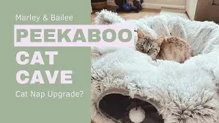 Cat Nap Upgrade! The Cat CaveTunnel Donut Bed Review - Spoiling Your Cat in Style!