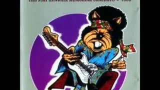 The Hamsters - Voodoo Chile (Jimi Hendrix cover)