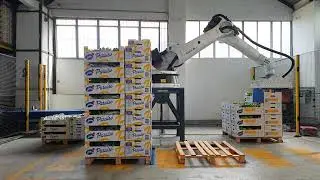 Banana box palletiser with four docks in Canary Islands