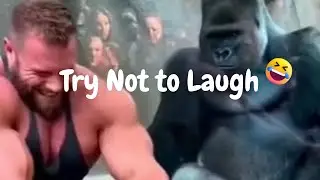Постарайтесь не засмеяться 😂 Смешные мемы 2026 🎬🔥 Подборка мемов #5