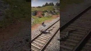 Untamed Wildlife in RDR2 | V2  #shorts