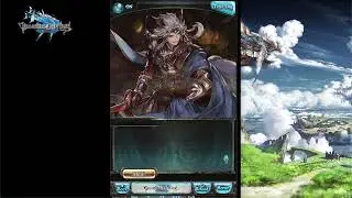 [Granblue Fantasy] Fate Episode. Seruel (Summer)