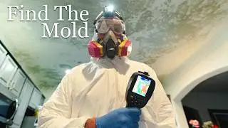How To Test Your Home For Mold (Step By Step)