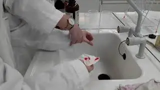 Hoe zien de cellen van een ajuinvlies eruit onder de microscoop?