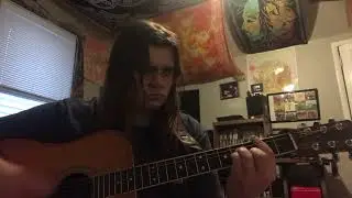 Duluth-Trampled by turtles cover