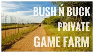 BUSH 'n BUCK PRIVATE GAME FARM, NORTH-WEST