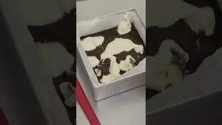Red Velvet Dark Chocolate Brownies Recipe😋🤤#brownie #ytshorts #shorts#my #recipe #cake #lover#viral😋