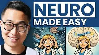 High Yield Neuro for Shelf Exams & Step 1 + Step 2 CK