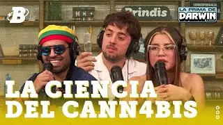 &iquest;HUMANOS FOTOSINT&Eacute;TICOS? FOTOS&Iacute;NTESIS EN VIVO Y TINDER DE PLANTAS | #LAPRIMADEDARWIN por #BrindisTV