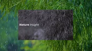 Nature Insight-Nature Edit