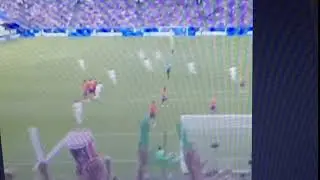 Kolarov free kick v Costa Rica from the stands