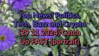 Top #News! Politics, Buzz and Crypto 29 11 2024 Catch Up FAST [portrait]