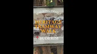 Buderim Palmwoods Heritage Tramway Walking Trail