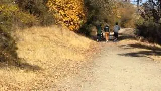 Fresno dp airsoft