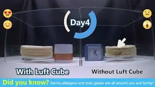 LUFT Cube USB Air Purifier Mold Prevention Test - Portable and Filterless - Clean Air with Ease!
