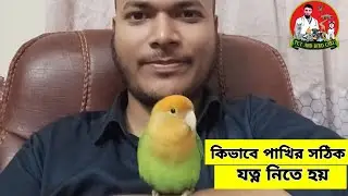 পাখির সঠিক যত্ন কিভাবে করতে হয় || Pet And Bird Care || Vet Advice 2026