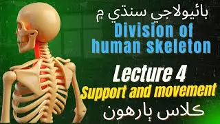 Inter biologyb in sindhi||division of human skeleton||support and movement||#biologyinsindhi #mdcat