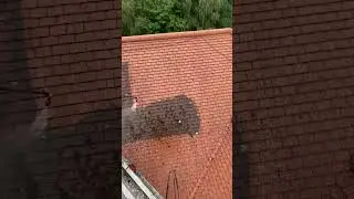 Just Clean: Roof cleaning Warrington