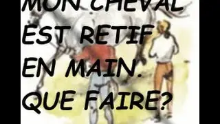 COMMENT FAIRE BOUGER UN CHEVAL RETIF EN MAIN? #equitation