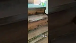 The best  wood flooring green penal  ac4  hdf 10 years  replacement warentey