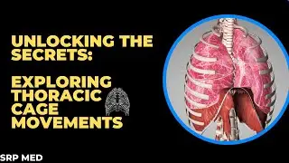 Mastering Thoracic Freedom: Unlock Vitality with Dynamic Cage Movements! 🌟