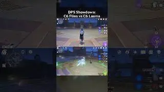 DPS SHOWDOWN: C6 FLINS VS C6 LAUMA