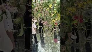 teamLab Planets Tokyo Garden Exhibition: Hanging Orchids Bloom & Cascade Water