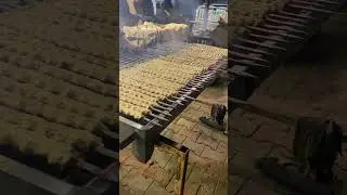 Chicken reshmi kabab #bbq live #chiken #tikka #live #viralshort #trending #100 #suggested #food